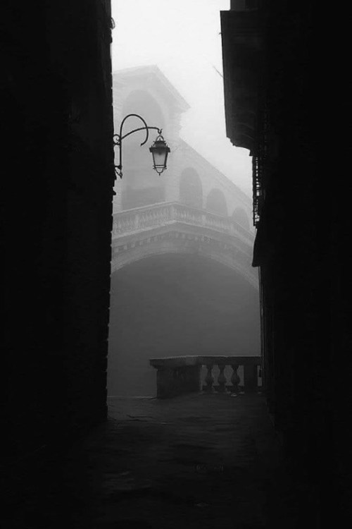 sabinerondissime:Venezia