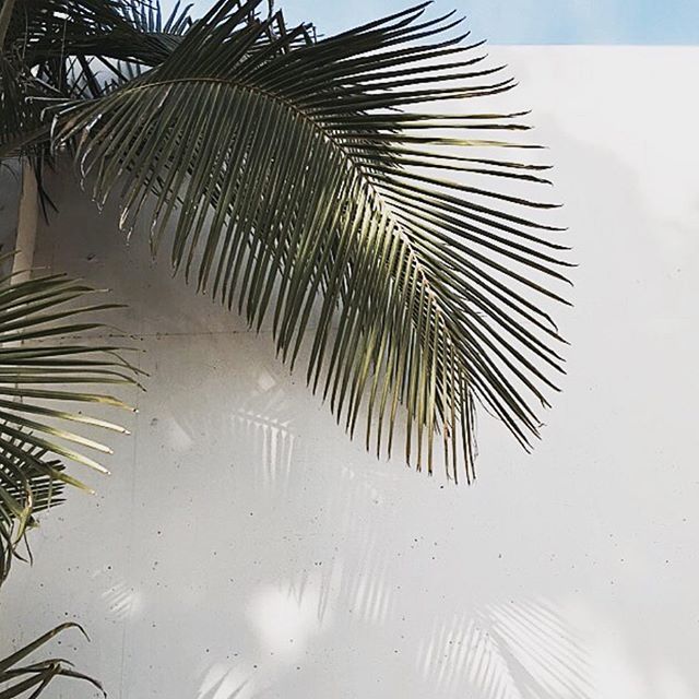 https://websta.me/n/indiehomecollective