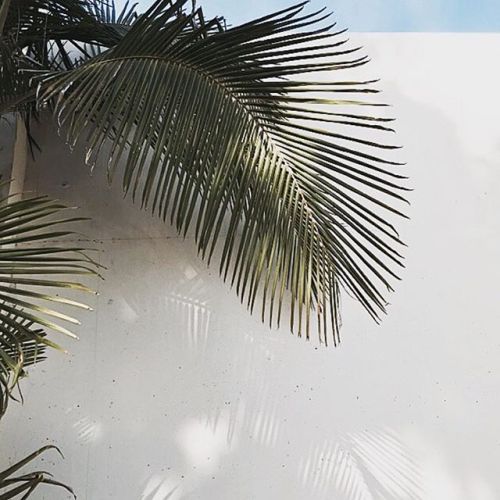 https://websta.me/n/indiehomecollective