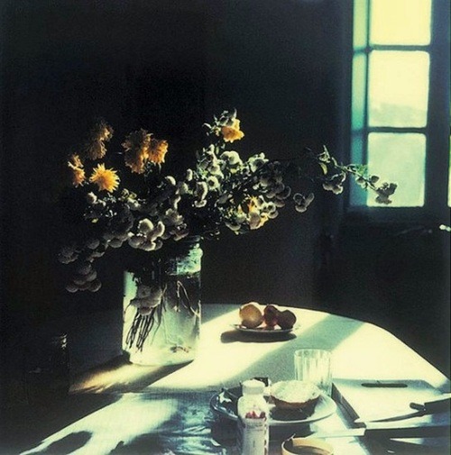 nobrashfestivity:  Polaroids by Andrei Tarkovsky 