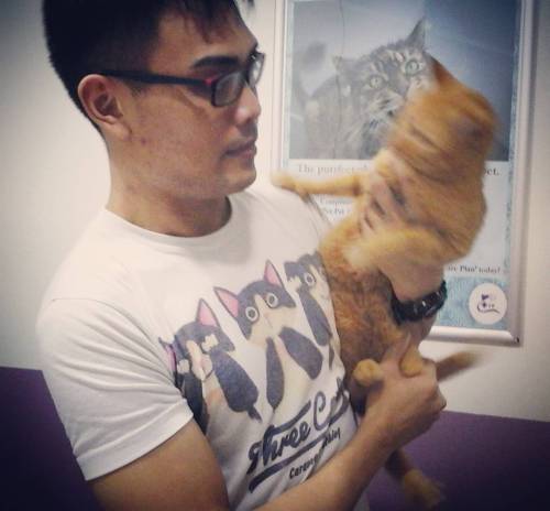 Hi friends, Ah Teng is a 6 years old #communitycat who has been observed to be losing weight and app