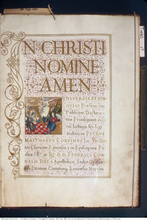 Università di Padova. Doctoral diploma presented to Count Girolamo Martinengo of Brescia : manuscrip