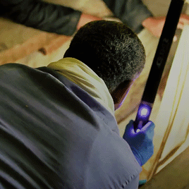 Dr. Ramadan Hussein (Kingdom of the Mummies)