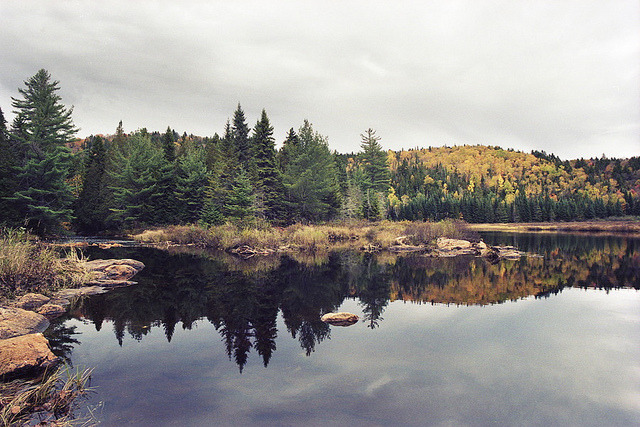 moanarch:  untitled by demilliac on Flickr. 