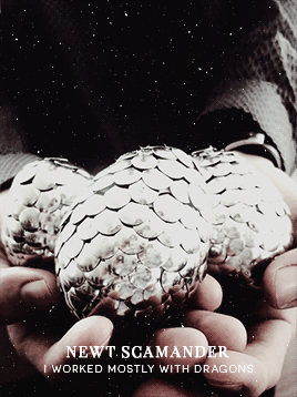 magizoology: Newt: You fought in the war? Jacob: Of course I fought in the war. Everyone fought in t