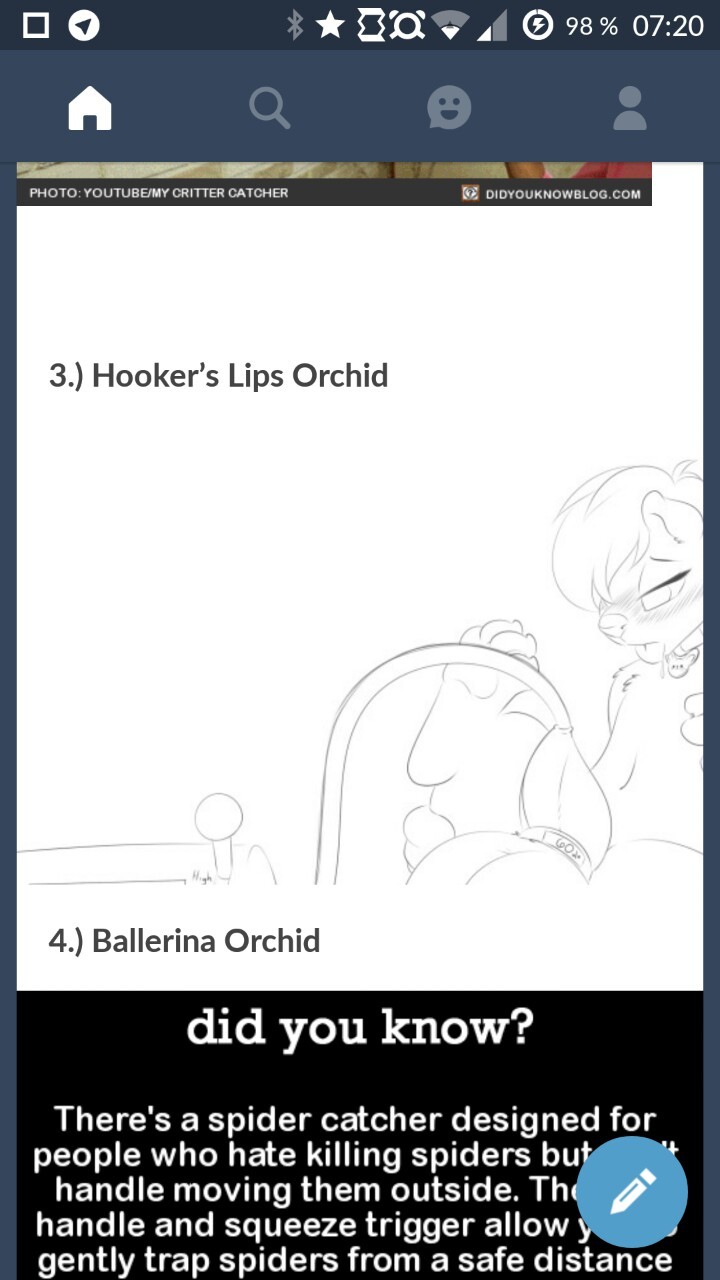 bandaidpony:  Gotta love how android tumblr mixes up pictures in posts. These are