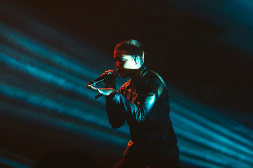 Halsey