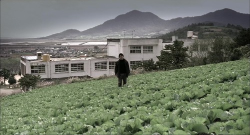 ozu-teapot:Memories of Murder | Bong Joon Ho | 2003