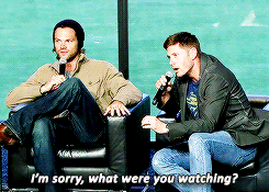 saintlarent: I actually started watching you [Jared] on Disney Channel. (x)