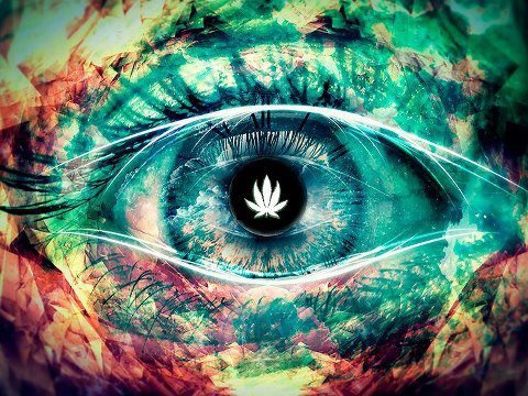 beyondtrip:  Trippy as hell-  follow me &lt;3 