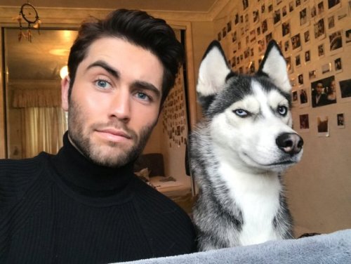 lazycheskie:  enemafrostofficial: When your familiar and you are on point the dog looks like a fucking disney pixar talking dog 