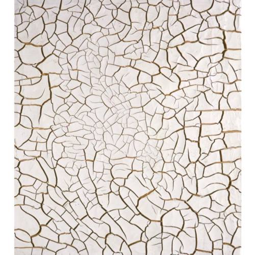 Alberto Burri, Cretto G2, 1975