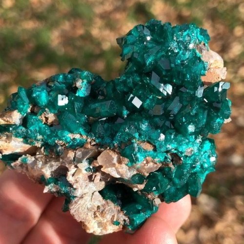 geologyin-blog: Stunning Dioptase with Quartz from Kaokoveld Plateau, Kunene Region, Namibia . Photo