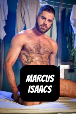 MARCUS ISAACS at RagingStallion  CLICK THIS TEXT to see the NSFW
