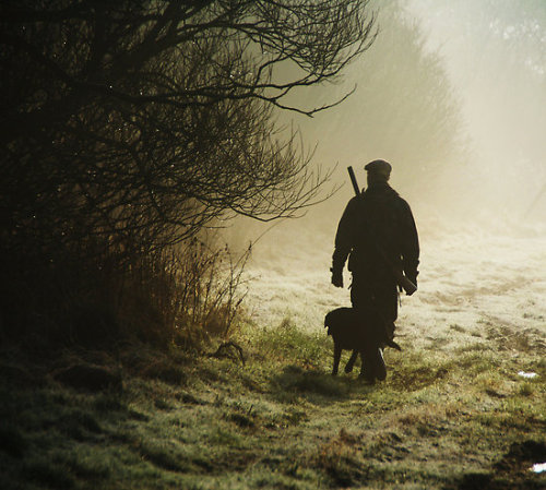 51percentgent: morning hunt