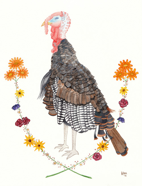 I painted this picture of my friend, Gandalf, a turkey who was rescued from becoming the very thing 