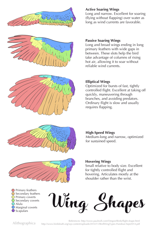 butterflyinthewell - alithographica - emotions-and-potions - isell...