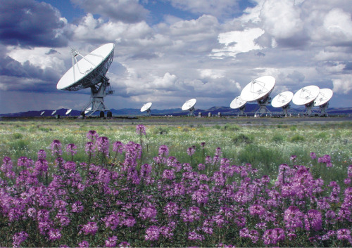 very large array