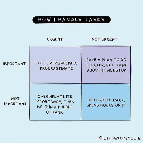 programmerhumour: Prioritisation!