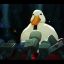 mobduck