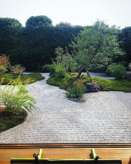 南明院庭園“蒼穹庭” [ 京都市東山区 ] ② Tofukuji Nanmeiin Temple Garden, Kyoto ーー2021年秋に初の特別公開！ #豊臣秀吉 の妹で #徳川家康 の正室 