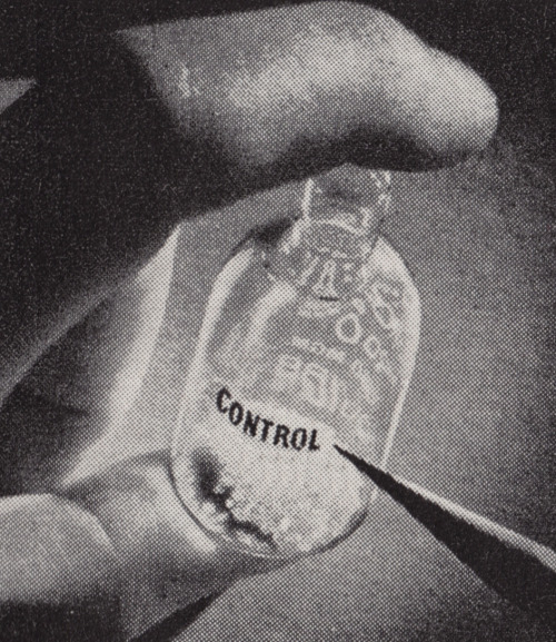 cyberianpunks:  control