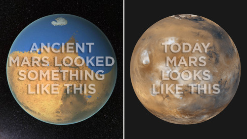 skunkbear:  Ancient Mars had a thick atmosphere filled with carbon dioxide that kept it warm.  Rivers trickled into lakes across its surface. Some researchers think  there might even have been an ocean. It looked a lot like ancient Earth. But Mars doesn’t