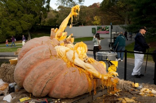 hier-und-dar:  pastelphillie:  sixpenceee: World’s biggest pumpkin sculpted into zombies by Ray Vill