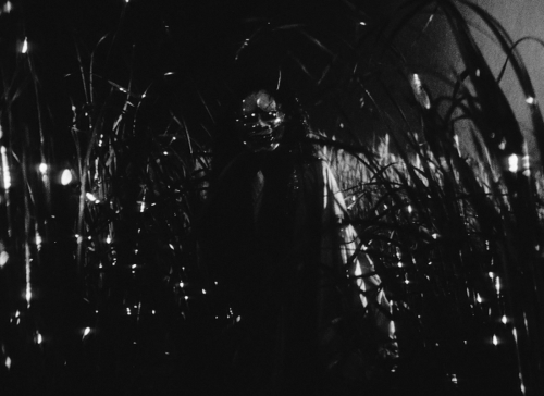 marypickfords:Onibaba (Kaneto Shindō, 1964)