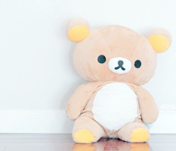 cinnahearts:  rilakkuma plushes ~ | 1 2 3 4 5 6 7 8 9  