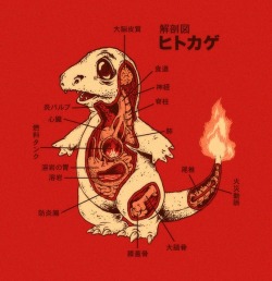 gaksdesigns:  Japanese Pokemon Anatomy by Ryan Mauskopf 
