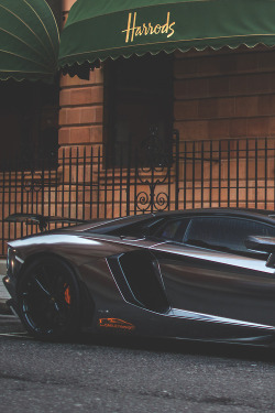 fine-luxury:    » Fine Luxury Content  