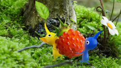 nintendocafe:   			 				Pikmin 4 is in development