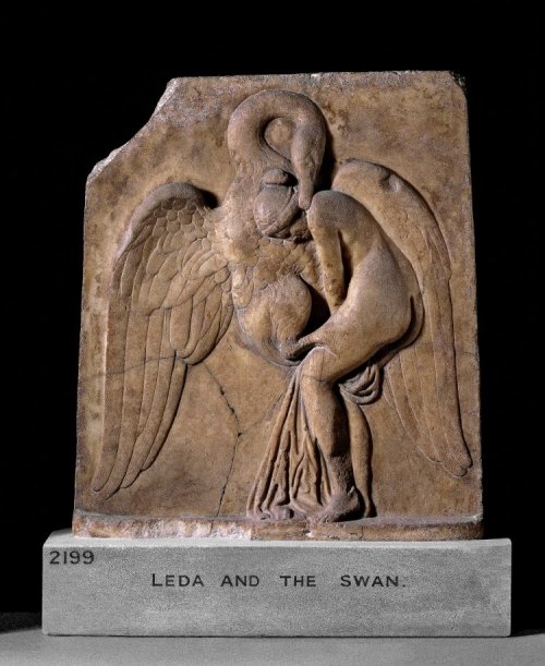 ancientpeoples:Marble relief of Leda and the Swan, grasping back of her neck with beak.Roman PeriodA