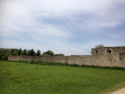 The ruins of Godstow Abbey, near Oxford.
