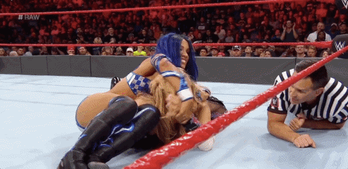 becksflair:grandslambaeley:Sasha Banks + modified Bank Statement1) using Natalya’s injured arm