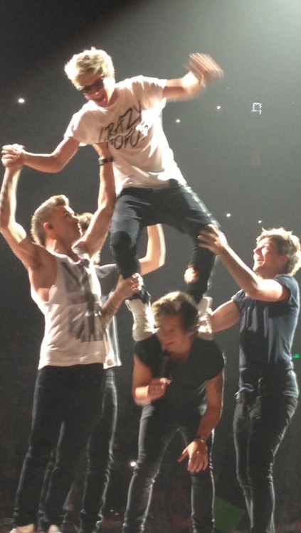flyinghighiseasy:  “Started from the bottom now we here.” Niall sang from Harry’s shoulders. 