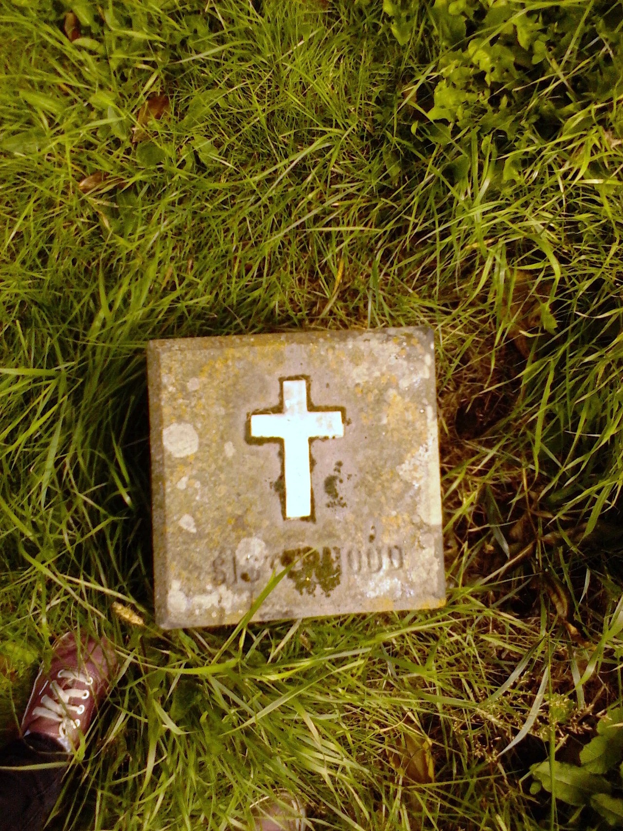 SIGHT OF THE TOMBS