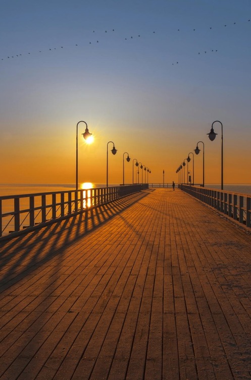 sandysexysalty: 0ce4n-g0d: Winter view of the pier Gdynia Orlowo at sunrise | fotoLajt xxx