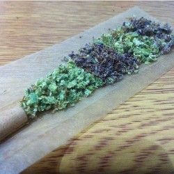 weedporndaily:  Criss-crossin that joint with some purps 👾🍇👾🍇👾🍇 @smokey420uk http://ift.tt/1lfmNW5