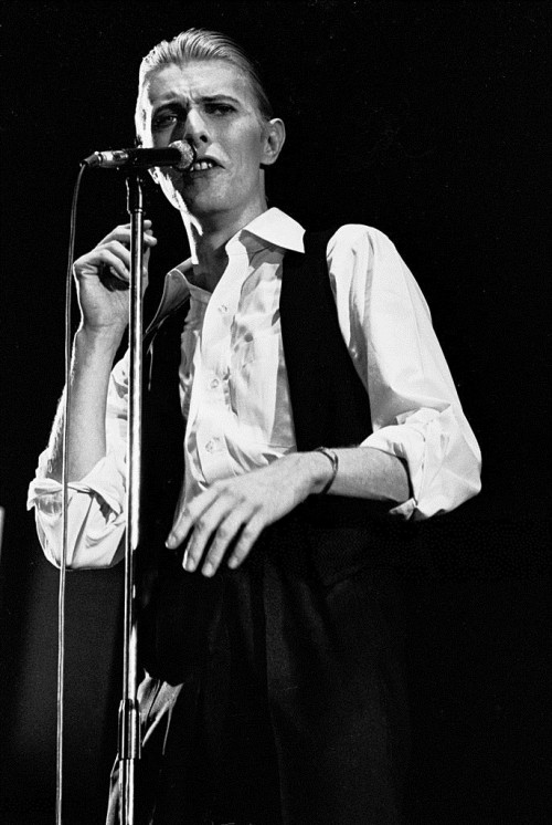 nightspell:David Bowie, May 13, 1976, Ahoy, Rotterdamphotos by Gijsbert Hanekroot