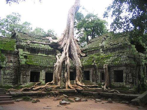 jollyrogers777:  anuika:  Old ruins.  LOVE when nature takes back 