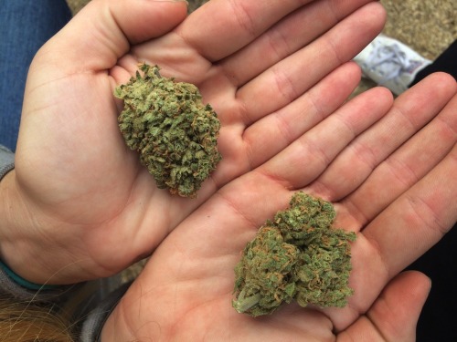 you-be-trippn:  Strawberry Cough 😍💦👅