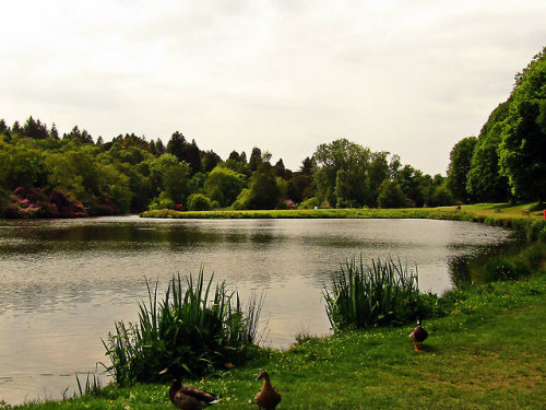 Callendar Park Pond