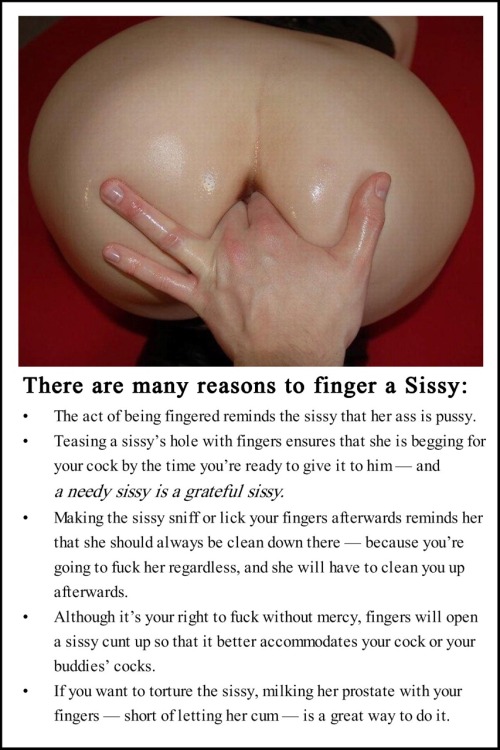 sissydaphnelovescum:  Sissies can even self stretch and we should be encouraged to do so.  codime69