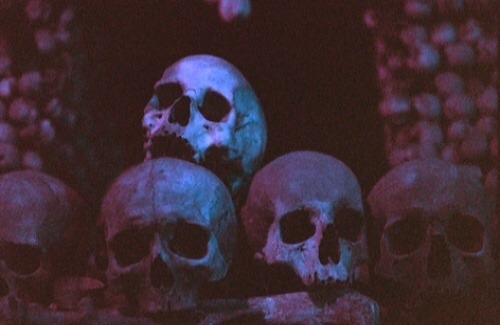 grindhousetheater.tumblr.com/post/183018423105/