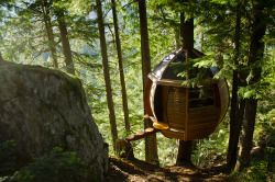 treehauslove:  The HemLoft Treehouse. A wooden egg-shaped structure built somewhere in the Whistler Woods, Canada. Built mostly from recycled materials the treehouse is a demonstration of an excellent craftsmanship and endless creativity. 