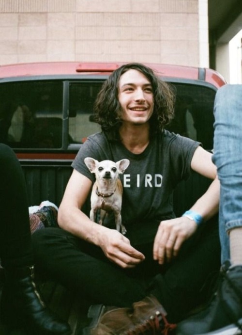 Ezra Miller and dogs is all I need in my life