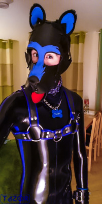 tazor13:  Dog. Reblog? #skintightrubber #rubberpup #MrSLeather #rubber #latex #fetish