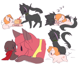 chiicharron:  have u ever seen a cat make pancakes thats god damn amazing on that note i realized idk how to draw pancakes who doesnt know how to draw pancakes wtF some have captions 